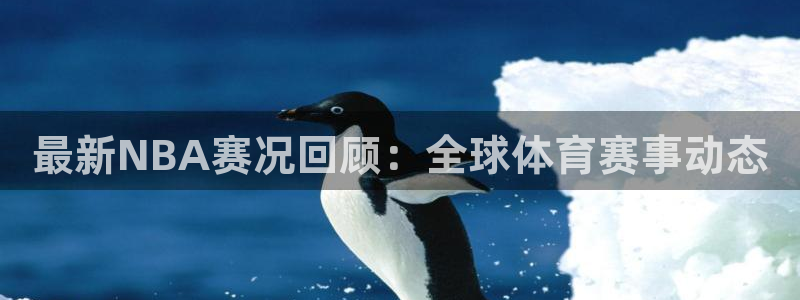 最新NBA赛况回顾：全球体育赛事动态