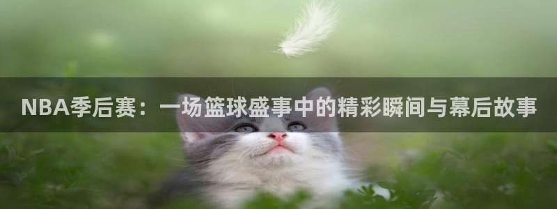 NBA季后赛：一场篮球盛事中的精彩瞬间与幕后故事