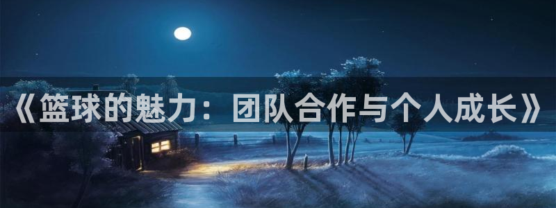 《篮球的魅力：团队合作与个人成长》