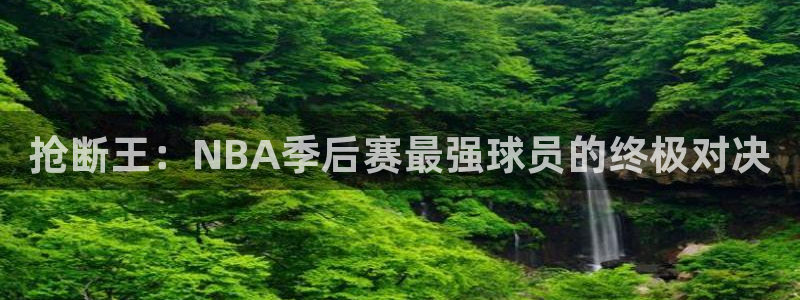 抢断王：NBA季后赛最强球员的终极对决