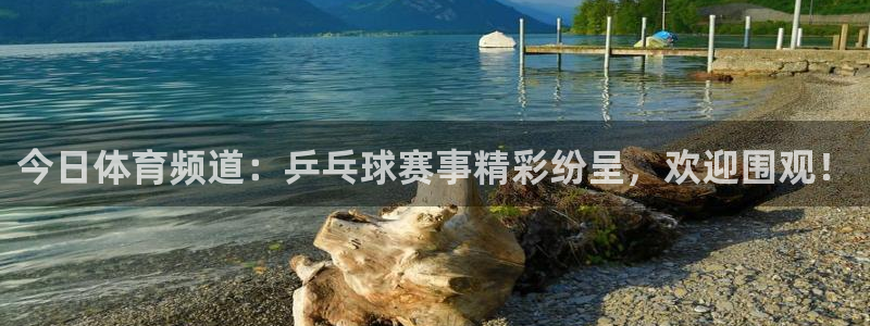 今日体育频道：乒乓球赛事精彩纷呈，欢迎围观！