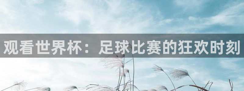 观看世界杯：足球比赛的狂欢时刻