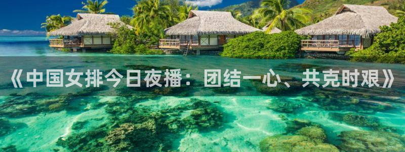 《中国女排今日夜播：团结一心、共克时艰》