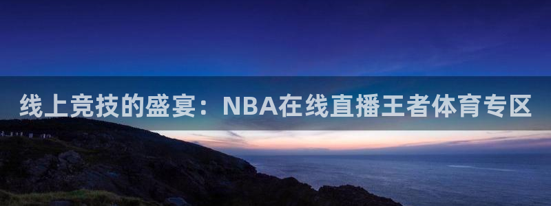 线上竞技的盛宴：NBA在线直播王者体育专区