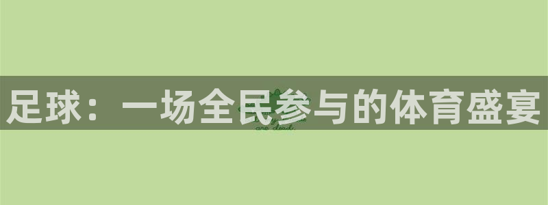 足球：一场全民参与的体育盛宴