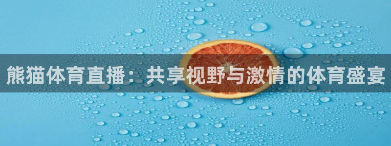 熊猫体育直播：共享视野与激情的体育盛宴
