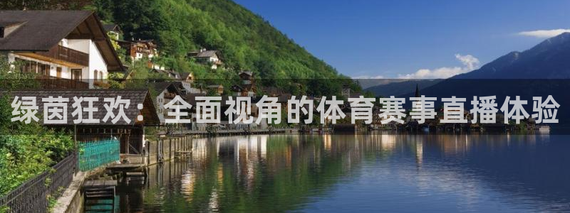 绿茵狂欢：全面视角的体育赛事直播体验