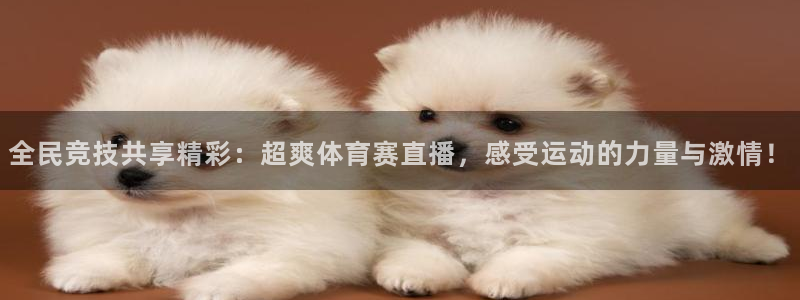 全民竞技共享精彩：超爽体育赛直播，感受运动的力量与激情！