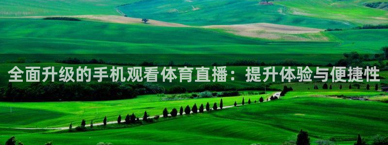 全面升级的手机观看体育直播：提升体验与便捷性