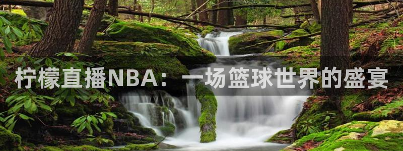 柠檬直播NBA：一场篮球世界的盛宴