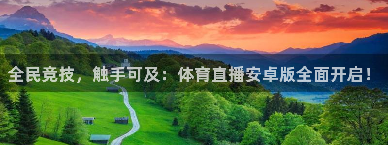 全民竞技，触手可及：体育直播安卓版全面开启！