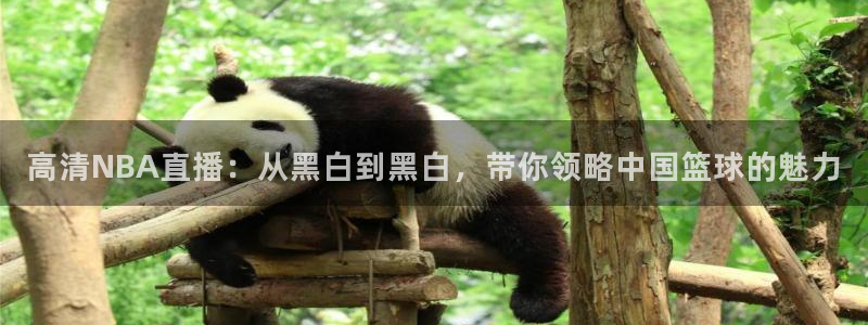 高清NBA直播：从黑白到黑白，带你领略中国篮球的魅力
