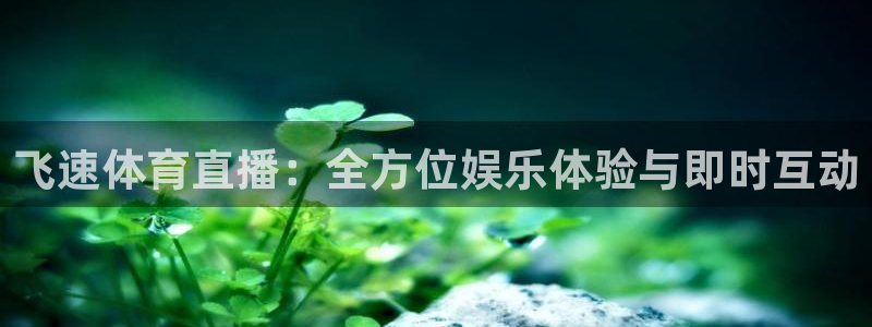 飞速体育直播：全方位娱乐体验与即时互动