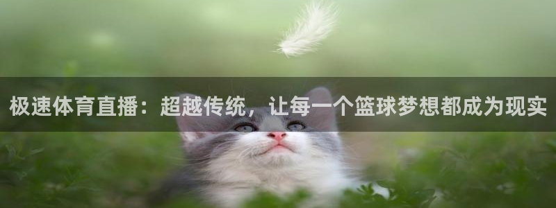 极速体育直播：超越传统，让每一个篮球梦想都成为现实