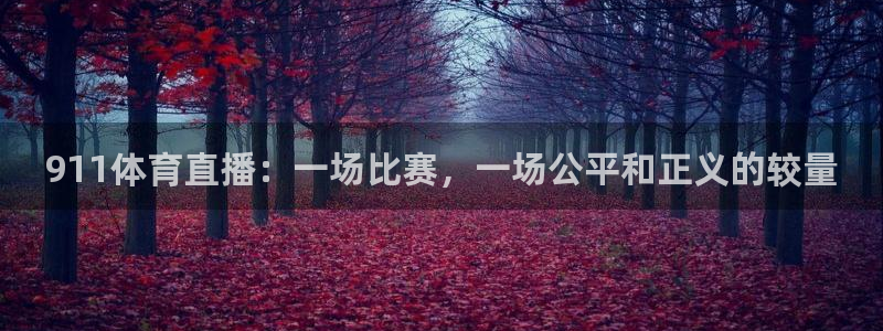 911体育直播：一场比赛，一场公平和正义的较量