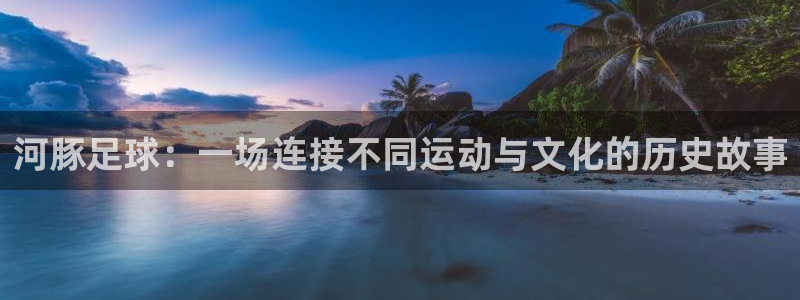 河豚足球：一场连接不同运动与文化的历史故事