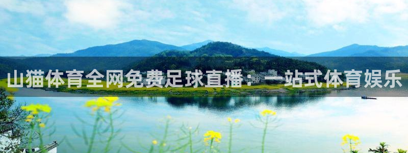 山猫体育全网免费足球直播：一站式体育娱乐