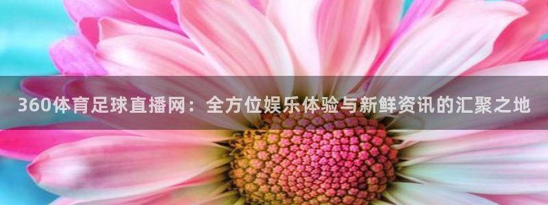 360体育足球直播网：全方位娱乐体验与新鲜资讯的汇聚之地