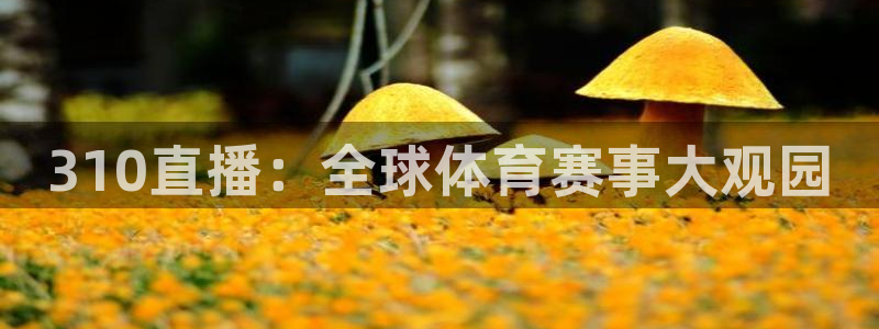 310直播：全球体育赛事大观园