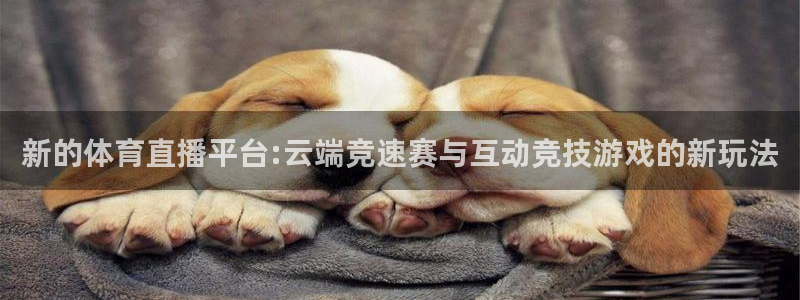 新的体育直播平台:云端竞速赛与互动竞技游戏的新玩法