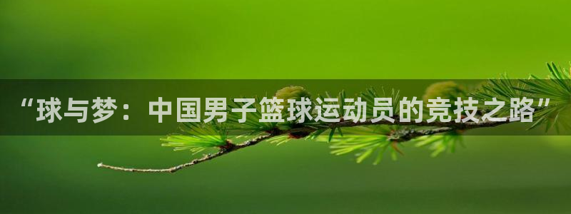 “球与梦：中国男子篮球运动员的竞技之路”