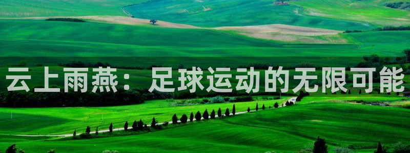 云上雨燕：足球运动的无限可能