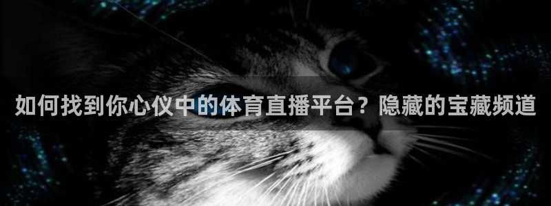 如何找到你心仪中的体育直播平台？隐藏的宝藏频道