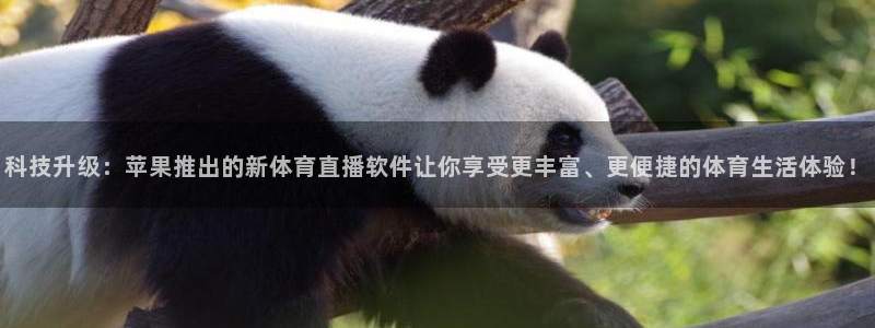 科技升级：苹果推出的新体育直播软件让你享受更丰富、更便捷的体育生活体验！