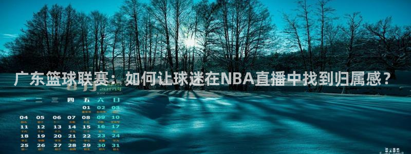 广东篮球联赛：如何让球迷在NBA直播中找到归属感？