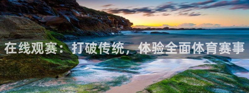 在线观赛：打破传统，体验全面体育赛事