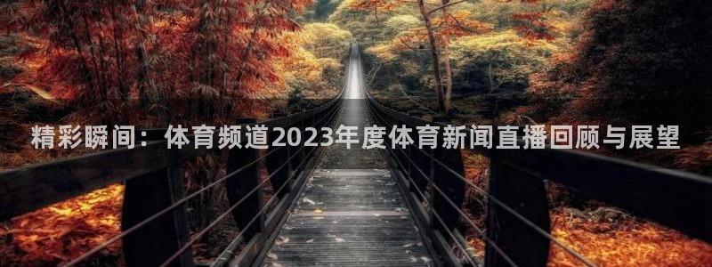 精彩瞬间：体育频道2023年度体育新闻直播回顾与展望