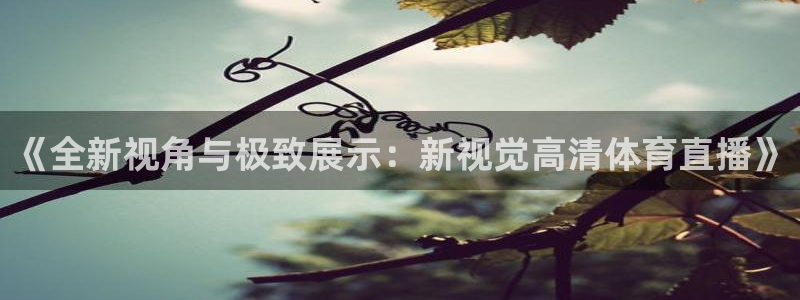 《全新视角与极致展示：新视觉高清体育直播》
