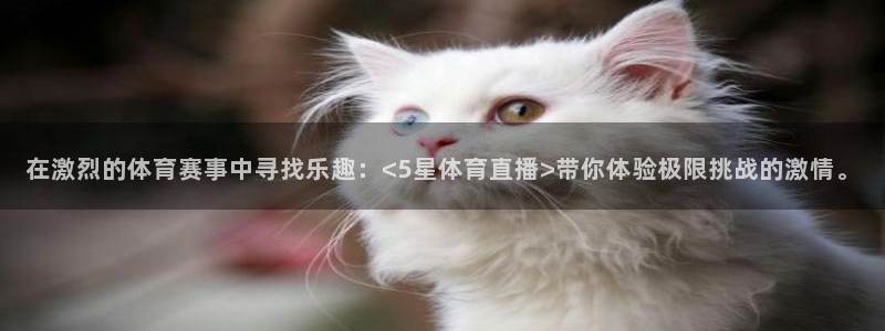 在激烈的体育赛事中寻找乐趣：<5星体育直播>带你体验极限挑战的激情。