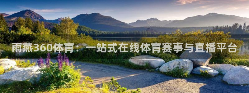 雨燕360体育：一站式在线体育赛事与直播平台