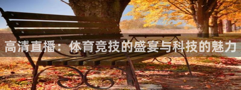 高清直播：体育竞技的盛宴与科技的魅力