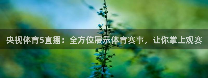 央视体育5直播：全方位展示体育赛事，让你掌上观赛