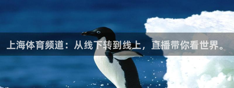 上海体育频道：从线下转到线上，直播带你看世界。