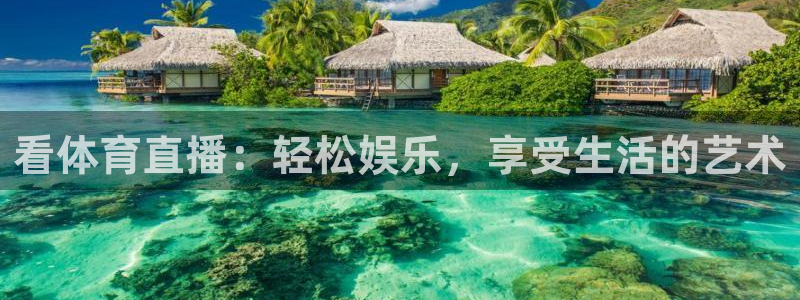 看体育直播：轻松娱乐，享受生活的艺术