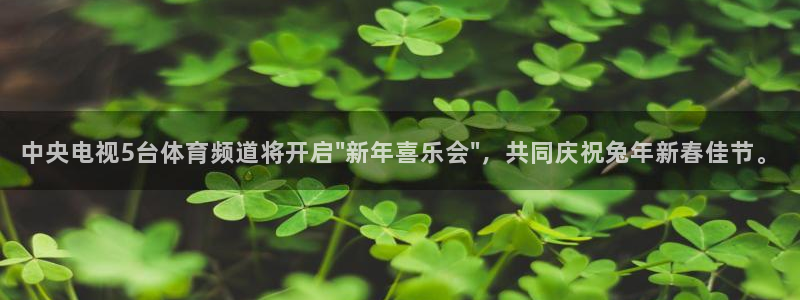 中央电视5台体育频道将开启\