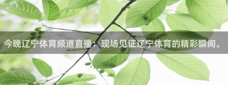 今晚辽宁体育频道直播：现场见证辽宁体育的精彩瞬间。