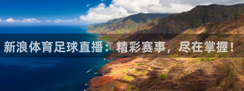 新浪体育足球直播：精彩赛事，尽在掌握！