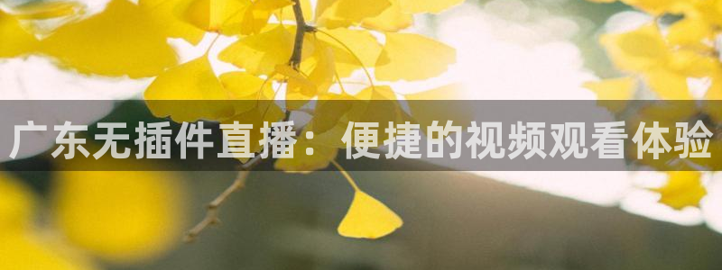 广东无插件直播：便捷的视频观看体验