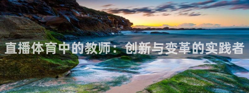 直播体育中的教师：创新与变革的实践者