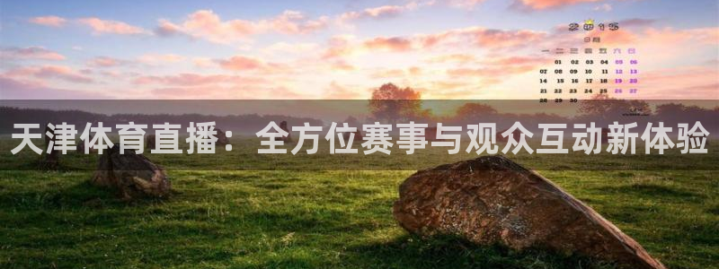 天津体育直播：全方位赛事与观众互动新体验