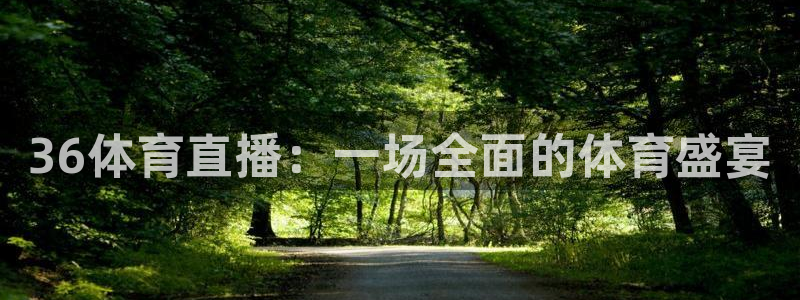 36体育直播：一场全面的体育盛宴
