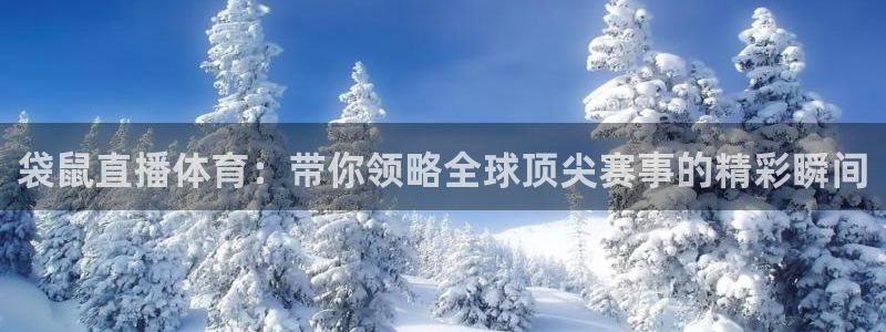 袋鼠直播体育：带你领略全球顶尖赛事的精彩瞬间