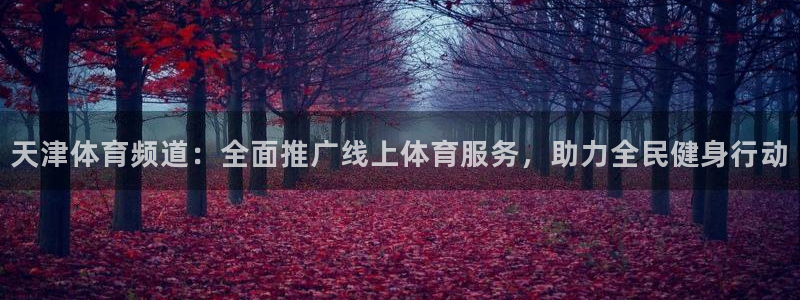 天津体育频道：全面推广线上体育服务，助力全民健身行动