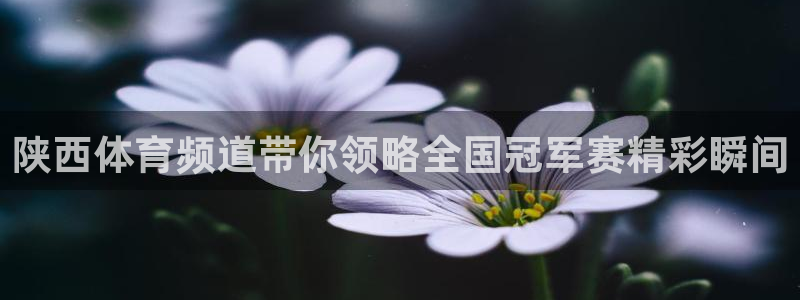 陕西体育频道带你领略全国冠军赛精彩瞬间