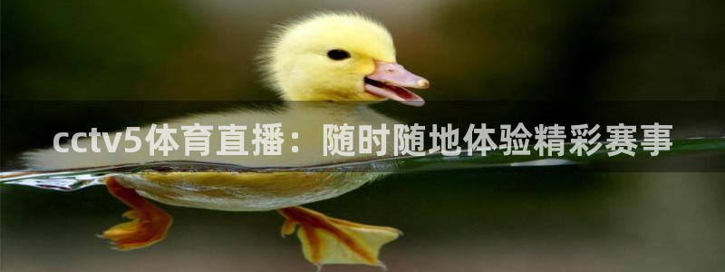 cctv5体育直播：随时随地体验精彩赛事