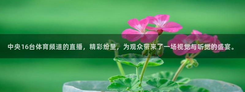 中央16台体育频道的直播，精彩纷呈，为观众带来了一场视觉与听觉的盛宴。
